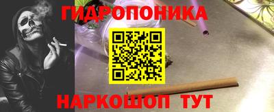 гашик Ногинск