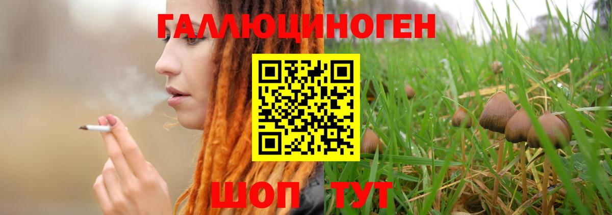 Галлюциногенные грибы MAGIC MUSHROOMS Владимир